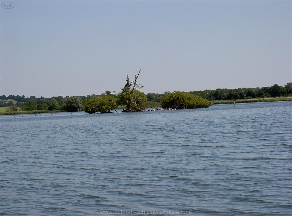 Mitten im See eine kleine Sandbank, die mit Büschen bewachsen ist und von Enten bewohnt wird.